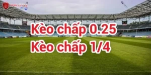 Chấp 1/4 Là Sao
